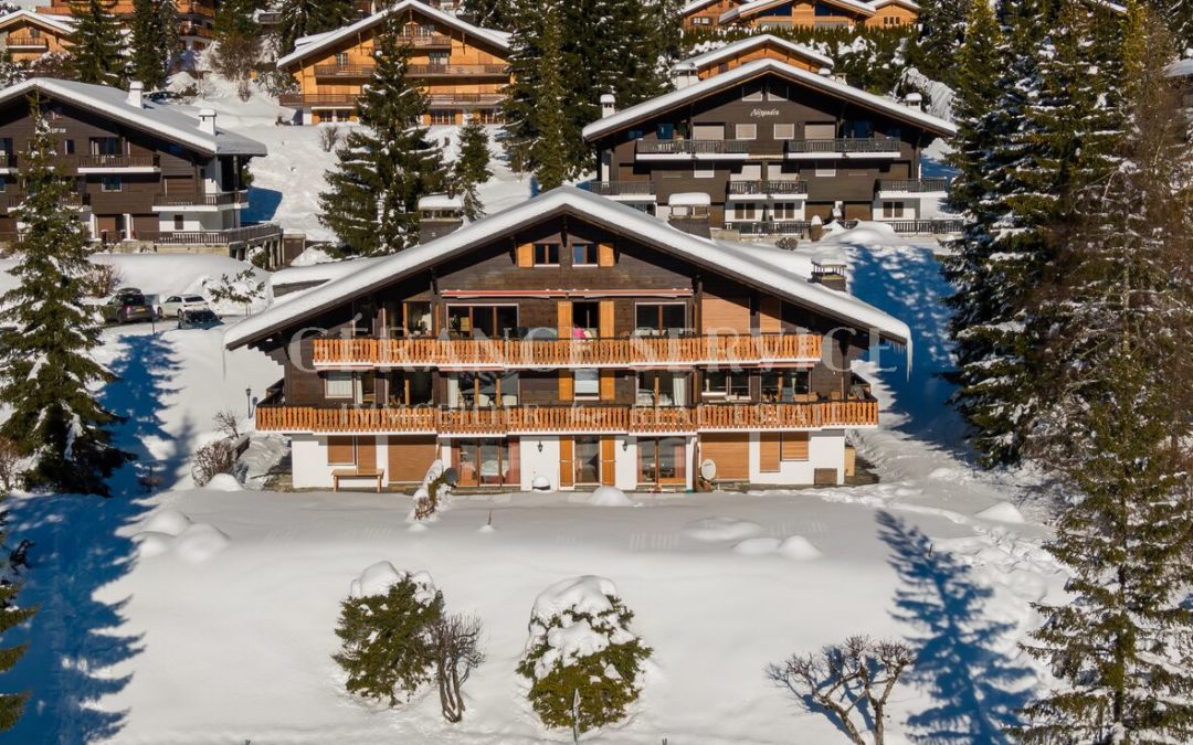3 appartements et chalets à vendre à Villars-sur-Ollon en Mars 2025
